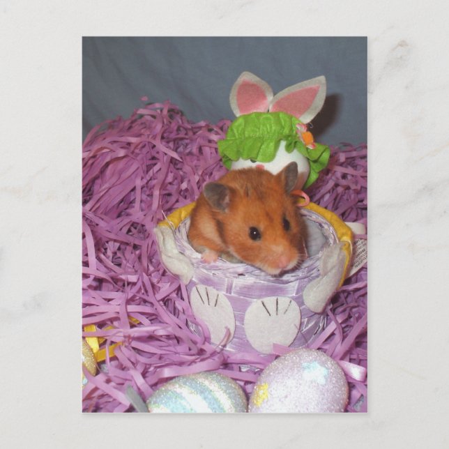 Cartes Pour Fêtes Annuelles Panier Hammy de Pâques (Devant)