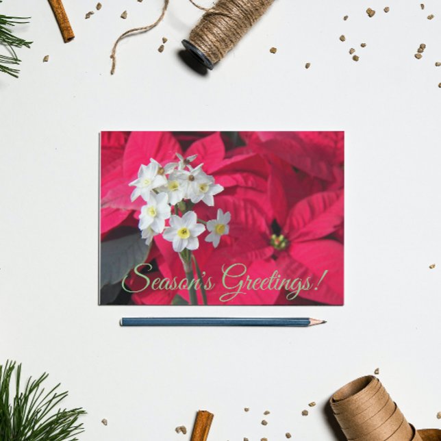 Cartes Pour Fêtes Annuelles Paperwhites et Poinsettia rouge Floral (In Situ)