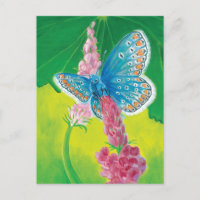 Papillon bleu de Chapmans (thersites en polyommatu