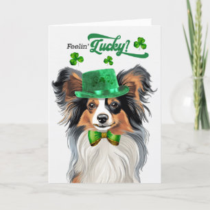 Cartes Pour Fêtes Annuelles Papillon Chien Lucky St Patrick's Day