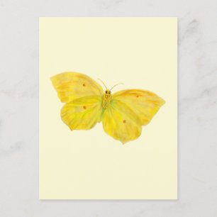 Cartes Pour Fêtes Annuelles Papillon jaune Volant de pierre de taille commune