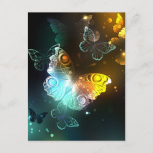 Cartes Pour Fêtes Annuelles Papillon lumineux et papillons de nuit