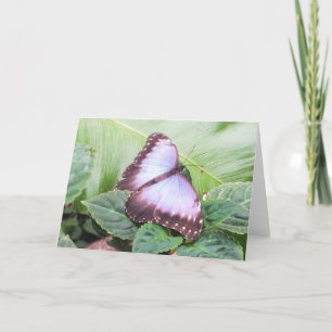 Cartes Pour Fêtes Annuelles Papillon morpho bleu