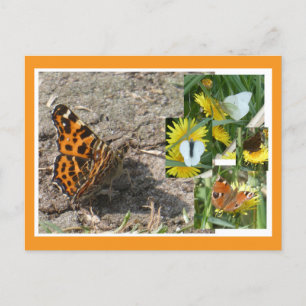 Cartes Pour Fêtes Annuelles Papillons hollandais d'été Collage do-it-yourself 