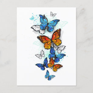 Cartes Pour Fêtes Annuelles Papillons volants Morpho et Monarch