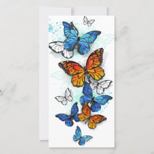 Cartes Pour Fêtes Annuelles Papillons volants Morpho et Monarch