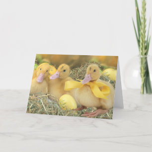 Cartes Pour Fêtes Annuelles Pâques
