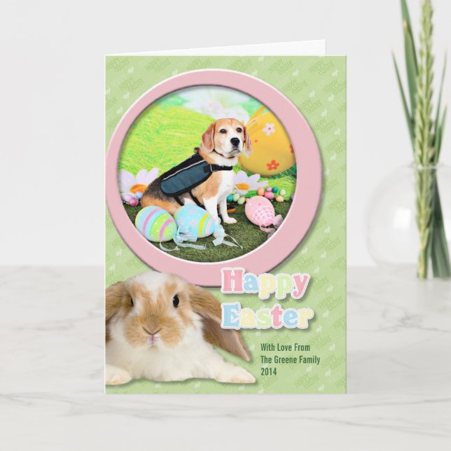 Cartes Pour Fêtes Annuelles Pâques - Beagle - Brady (Devant)