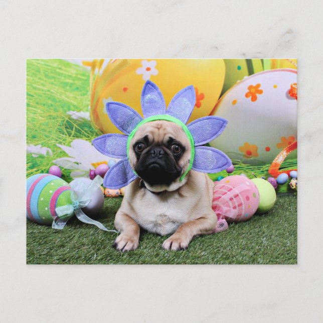 Cartes Pour Fêtes Annuelles Pâques - Carlin - Louie (Devant)