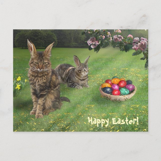 Cartes Pour Fêtes Annuelles Pâques Cat-Bunnies ; -) 😽 🐰 (Devant)