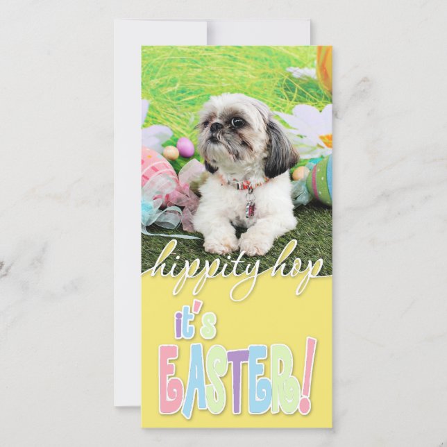 Cartes Pour Fêtes Annuelles Pâques - Chih Tzu - Sophie (Devant)