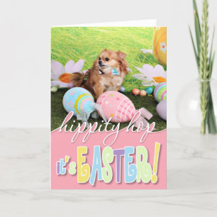 Cartes Pour Fêtes Annuelles Pâques - Chihuahua - Carlito