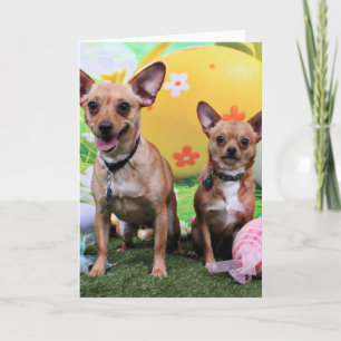 Cartes Pour Fêtes Annuelles Pâques - Chipin Rockwell - chiwawa Rambo