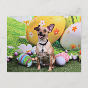 Cartes Pour Fêtes Annuelles Pâques - Chipin Rockwell - chiwawa Rambo