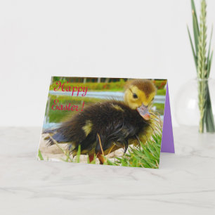 Cartes Pour Fêtes Annuelles Pâques III