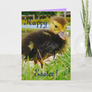 Cartes Pour Fêtes Annuelles Pâques III