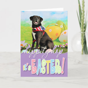 Cartes Pour Fêtes Annuelles Pâques - Labrador - Dakota