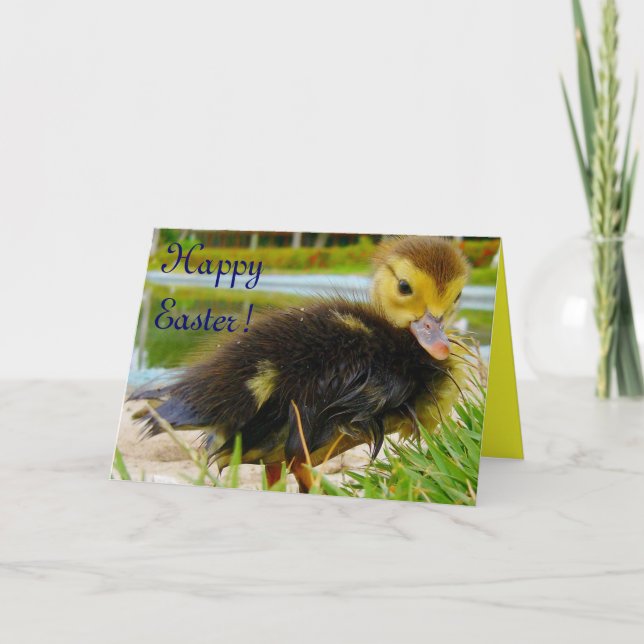 Cartes Pour Fêtes Annuelles Pâques - poule IV (Devant)