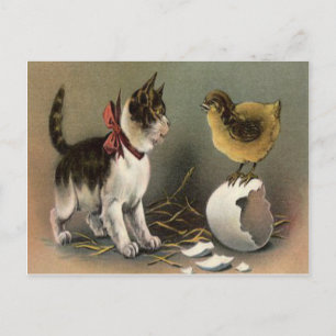 Cartes Pour Fêtes Annuelles Pâques Poussin Œuf Chat Chaton