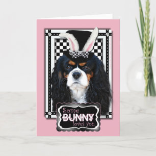 Cartes Pour Fêtes Annuelles Pâques - un certain lapin vous aime - cavalier