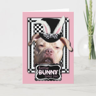 Cartes Pour Fêtes Annuelles Pâques - un certain lapin vous aime - Pitbull
