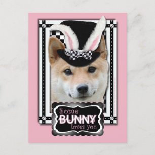 Cartes Pour Fêtes Annuelles Pâques - un certain lapin vous aime - Shiba Inu