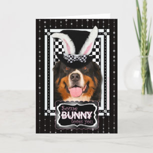 Cartes Pour Fêtes Annuelles Pâques - Un Lapin Vous Aime - Bernie