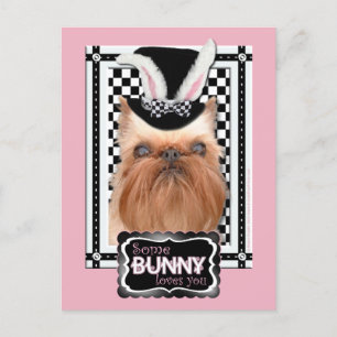 Cartes Pour Fêtes Annuelles Pâques - Un Lapin Vous Aime - Bruxelles Griffon