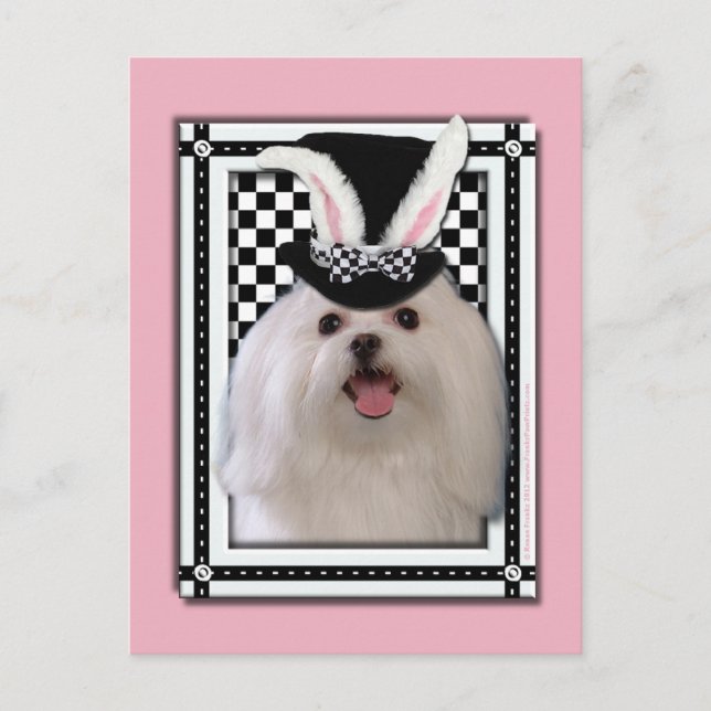 Cartes Pour Fêtes Annuelles Pâques - Un Lapin Vous Aime - Maltais (Devant)