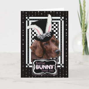 Cartes Pour Fêtes Annuelles Pâques - Un Lapin Vous Aime - Setter Irlandais