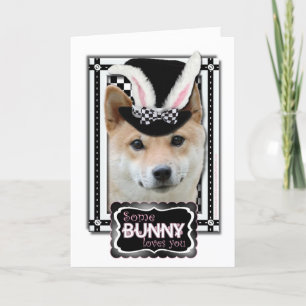 Cartes Pour Fêtes Annuelles Pâques - Un Lapin Vous Aime - Shiba Inu