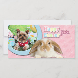 Cartes Pour Fêtes Annuelles Pâques - Yorkshire Terrier - Sassy