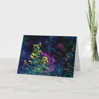 Cartes Pour Fêtes Annuelles Paradis sur le McKenzie