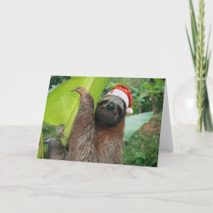 Cartes Pour Fêtes Annuelles Paresse de Joyeux Noël