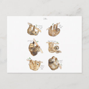 Cartes Pour Fêtes Annuelles Paresseux Classique