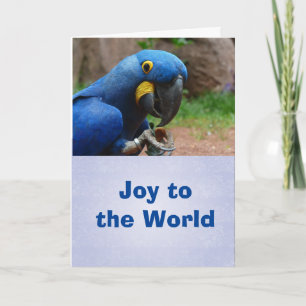 Cartes Pour Fêtes Annuelles Parrot Happy Holiday Card, enveloppes incluses