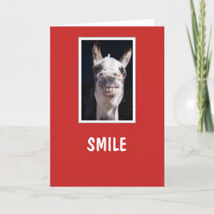 Cartes Pour Fêtes Annuelles Partagez un sourire - Denis le sourire de l'âne