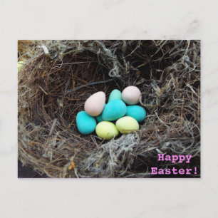 Cartes Pour Fêtes Annuelles Pastel Easter eggs in real bird's nest photograph