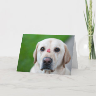 Cartes Pour Fêtes Annuelles Patience maximale