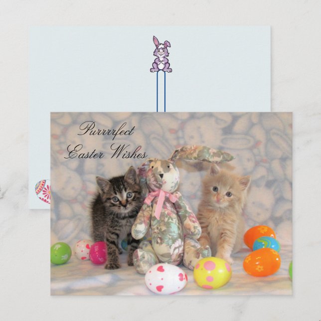 Cartes Pour Fêtes Annuelles Patton & Buffington Pâques Cat (Devant / Derrière)