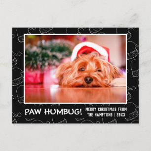 Cartes Pour Fêtes Annuelles Paw Humbug Pet Photo Animal Noir Santa Hat