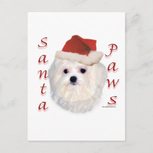 Cartes Pour Fêtes Annuelles Paws de Père Noël
