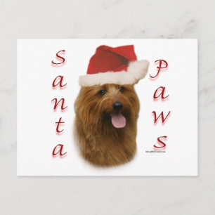 Cartes Pour Fêtes Annuelles Paws de Terrier Père Noël