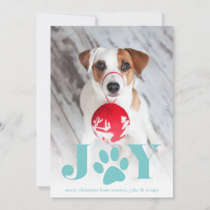 Cartes Pour Fêtes Annuelles Paws   Pet Photo Holiday Card