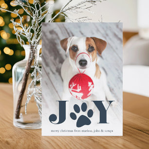 Cartes Pour Fêtes Annuelles Paws   Pet Photo Holiday Card