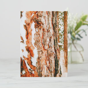 Cartes Pour Fêtes Annuelles Paysage hivernal à Bend - Oregon 