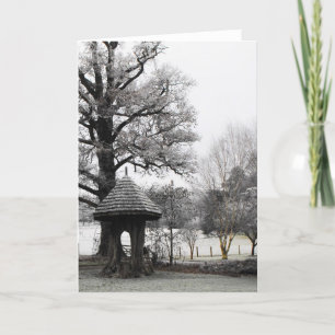 Cartes Pour Fêtes Annuelles Paysage le matin d'hiver gelé