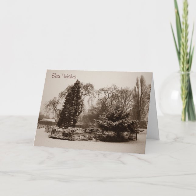 Cartes Pour Fêtes Annuelles paysage neige parc arbres paysage noël (Devant)