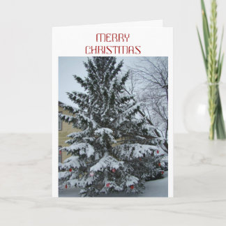 Cartes Pour Fêtes Annuelles Peace At Christmas, Snowy Pine