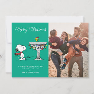 Cartes Pour Fêtes Annuelles Peanuts   Snoopy & Woodstock Bain d'oiseau gelé